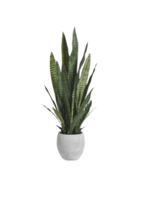 Home Decorating trees