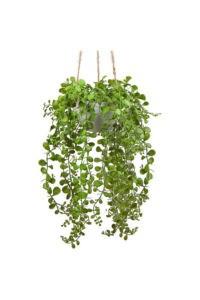 Home Decorating trees