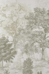 the home decor wallpaper trend