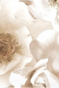 the home decor wallpaper trend